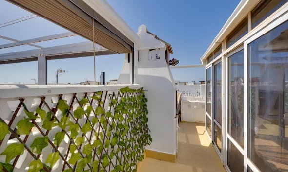 Resale - Bungalow - Torrevieja - Los Frutales
