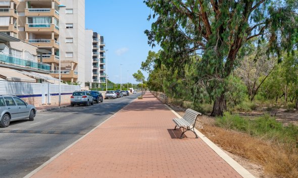 Resale - Apartment - Guardamar del Segura - Guardamar