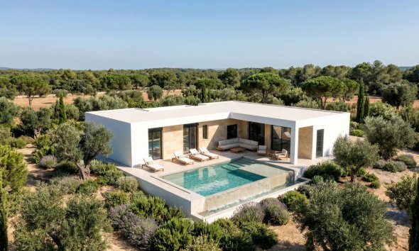 Obra nueva - Villa - Pinoso