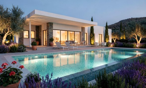 Obra nueva - Villa - Pinoso