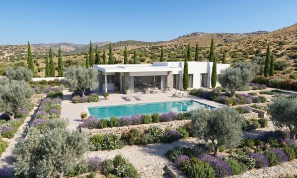 Obra nueva - Villa - Pinoso