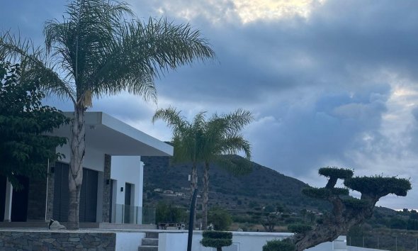 Obra nueva - Villa - Pinoso