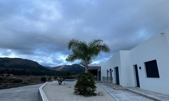 Obra nueva - Villa - Pinoso