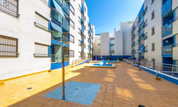 Resale - Apartment - Torrevieja - Playa de los Locos