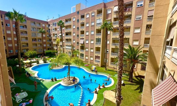 Rynek Wtórny - Apartament - Torrevieja - Centro