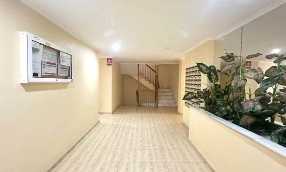 Reventa - Apartamento - Torrevieja - Acequion