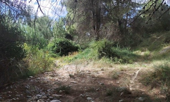 Resale - Land - Moratalla