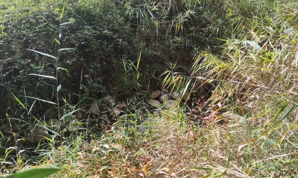 Resale - Land - Moratalla