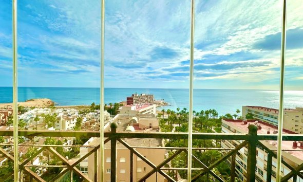Resale - Apartment - Torrevieja - Los Frutales