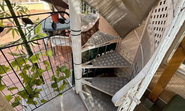 Resale - Bungalow - Torrevieja - Los Balcones