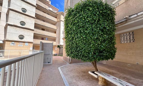 Resale - Apartment - Torrevieja - Habaneras