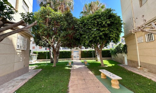 Resale - Apartment - Torrevieja - Habaneras