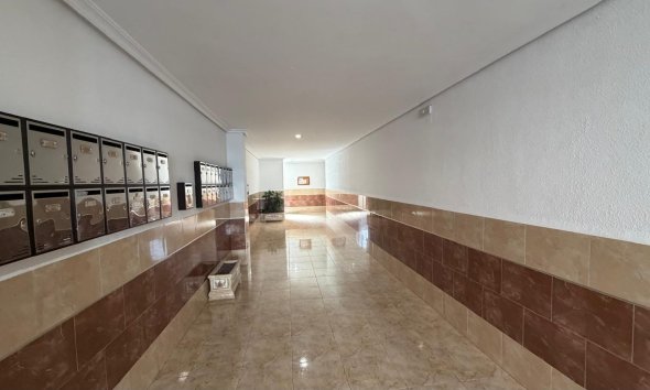 Reventa - Apartamento - Torrevieja - Acequion
