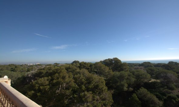 New Build - Apartment - Guardamar del Segura