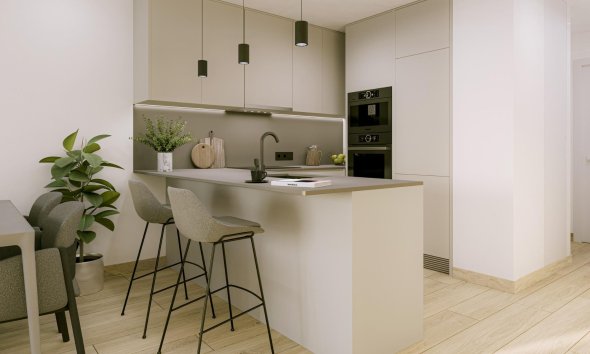 Obra nueva - Apartamento / Dúplex - Torrevieja