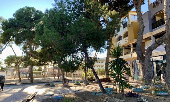 Rynek Pierwotny - Bungalow / Domek parterowy - San Javier