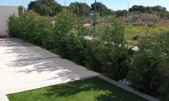 Obra nueva - Villa - Pilar de la Horadada
