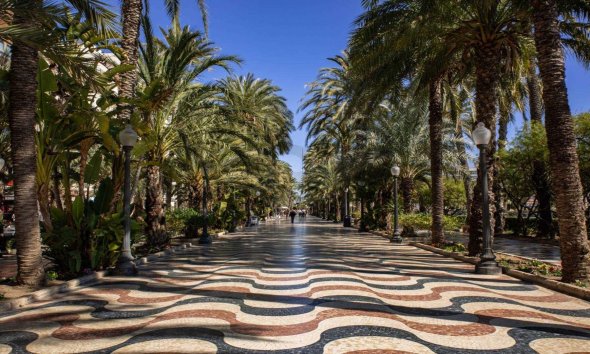 Obra nueva - Bungalow - Alicante