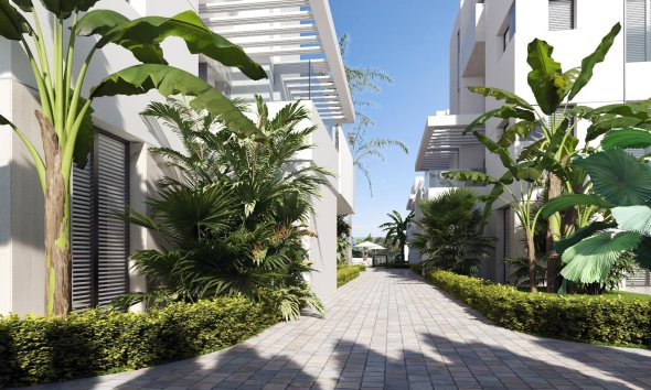 Rynek Pierwotny - Apartament - Torre Pacheco