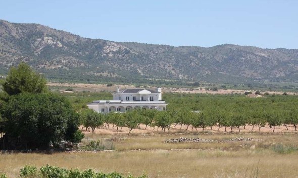 Obra nueva - Villa / Casa - Pinoso