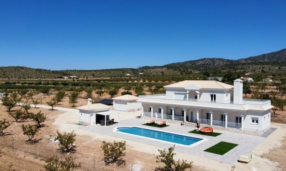 Obra nueva - Villa - Pinoso
