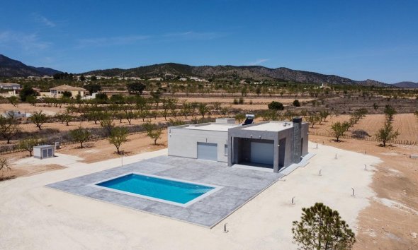 Obra nueva - Villa - Pinoso