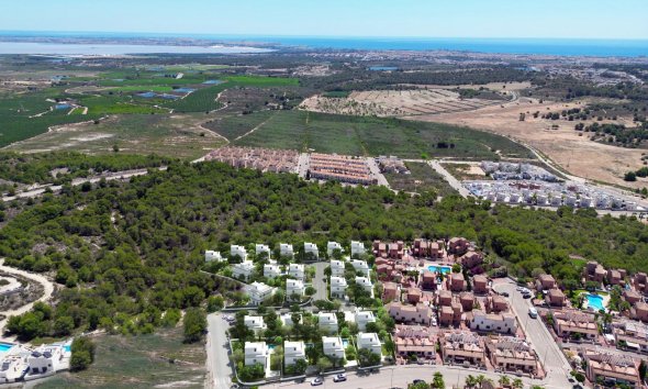 New Build - Villa - San Miguel de Salinas