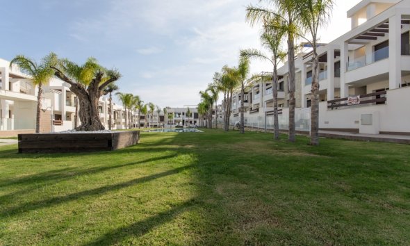 Obra nueva - Adosado - Torrevieja
