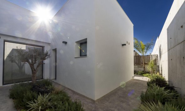 New Build - Villa / House - Baños y Mendigo
