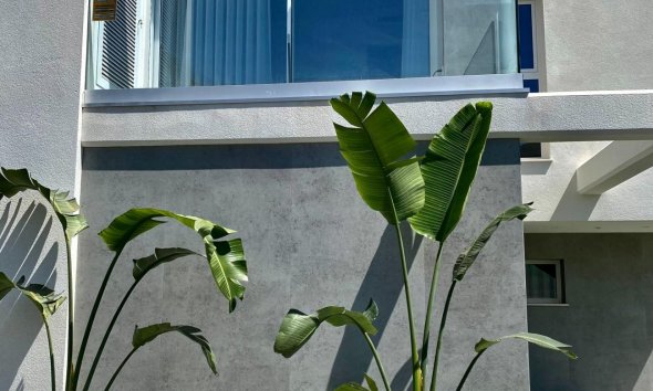 Obra nueva - Villa / Casa - Finestrat