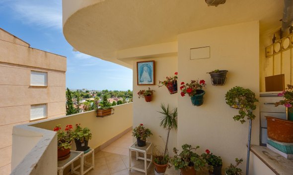 Reventa - Apartamento - Torrevieja