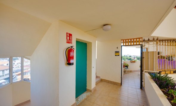 Reventa - Apartamento - Torrevieja