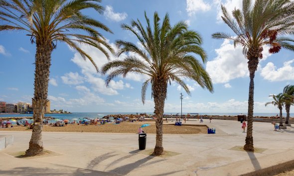 Reventa - Apartamento - Torrevieja