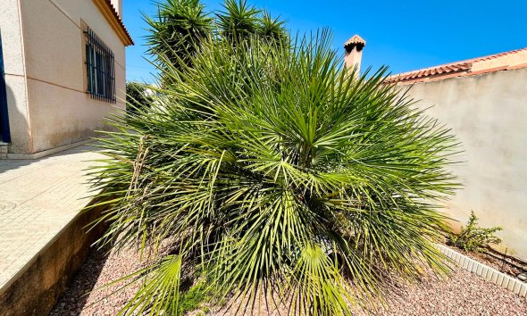 Resale - - VILLA - Torrevieja - Urbanización San Luis
