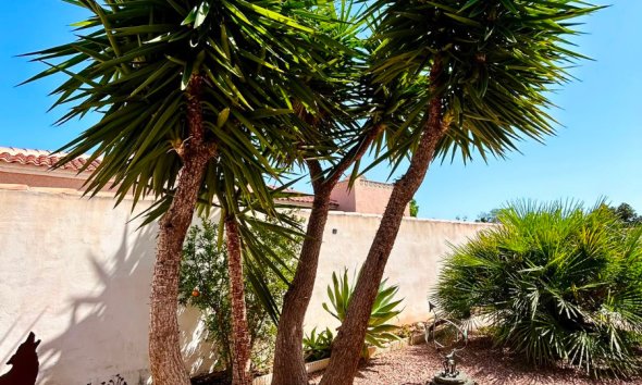 Resale - - VILLA - Torrevieja - Urbanización San Luis