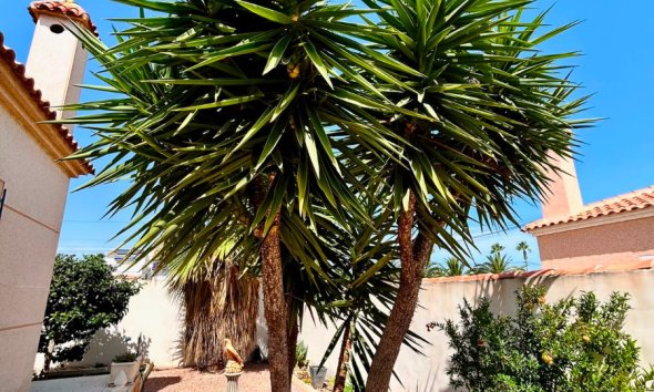 Resale - - VILLA - Torrevieja - Urbanización San Luis
