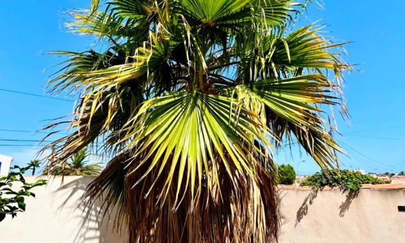 Resale - - VILLA - Torrevieja - Urbanización San Luis