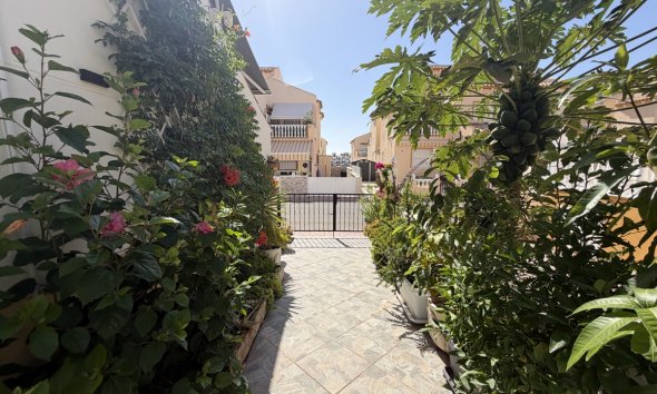 Resale - Terraced house / Townhouse - Torrevieja - Los Altos