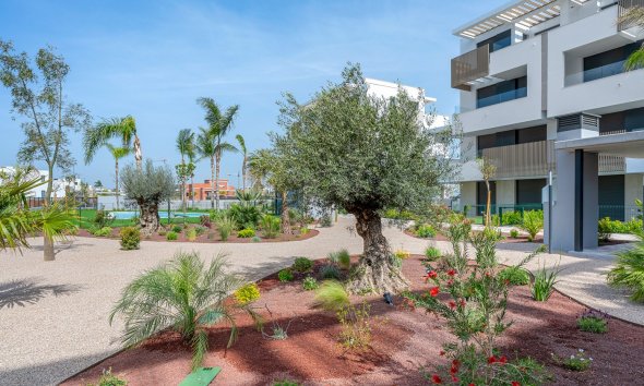 Reventa - Apartamento - Los Alcazares - Santa Rosalía