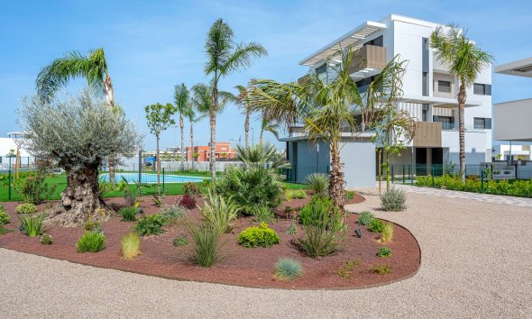 Reventa - Apartamento - Los Alcazares - Santa Rosalía