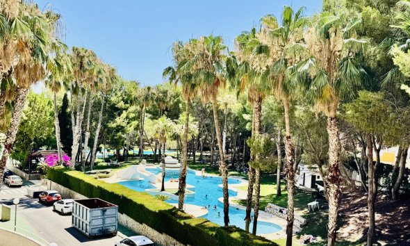 Reventa - Apartamento - Orihuela Costa - Altos de Campoamor