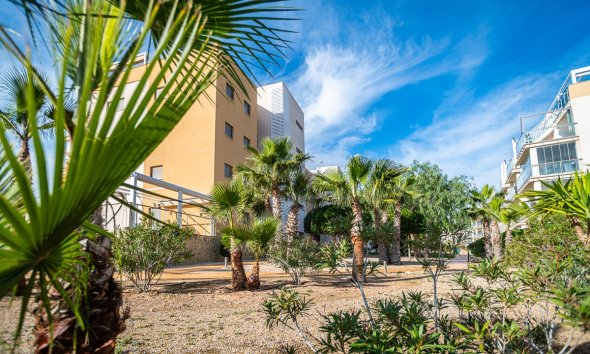 Rynek Wtórny - Apartament - Orihuela Costa - Los Dolses