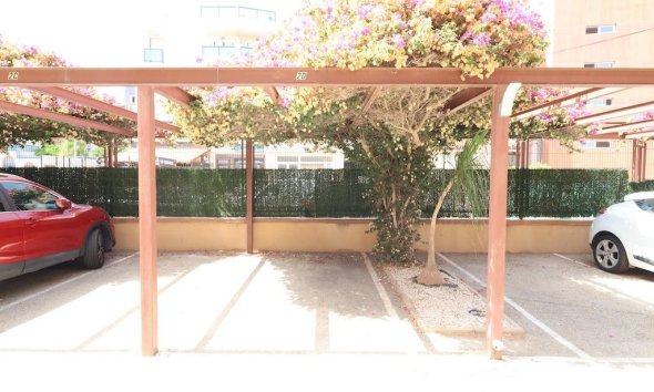 Rynek Wtórny - Apartament - Orihuela Costa - La Regia