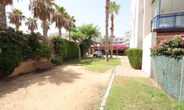 Rynek Wtórny - Apartament - Orihuela Costa - La Regia