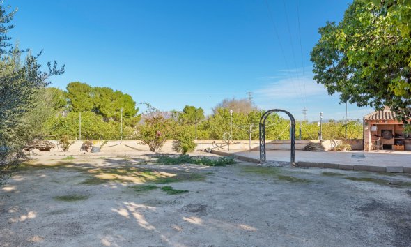 Resale - Farm Estate / Country Property - Beniel - Carretera de Beniel