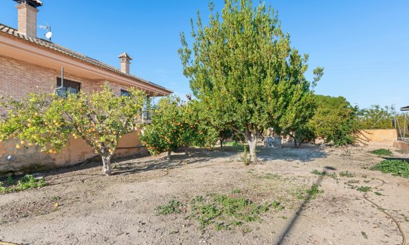Resale - Farm Estate / Country Property - Beniel - Carretera de Beniel