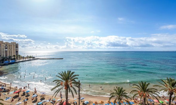 Resale - Apartament / Duplex - Torrevieja