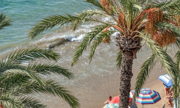 Resale - Apartament / Duplex - Torrevieja