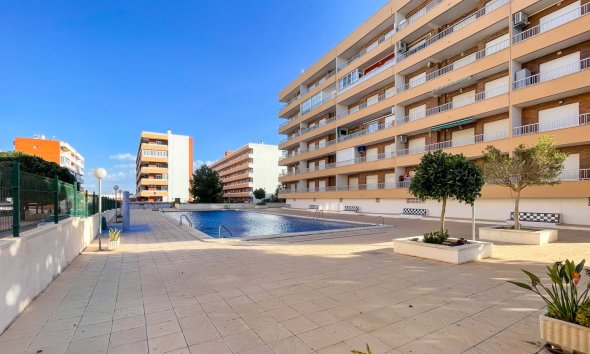 Rynek Wtórny - Apartament - Torrevieja - Punta Prima
