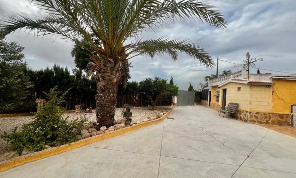 Resale - Farm Estate / Country Property - San Fulgencio - San Fulgencio - Country